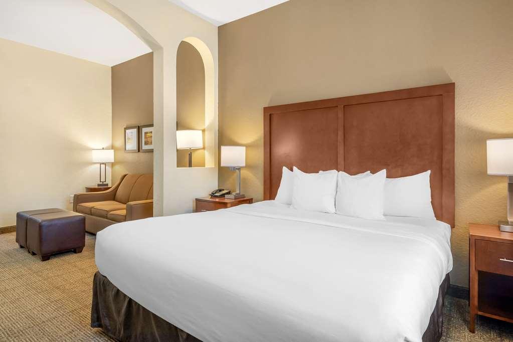 Comfort Inn & Suites Northeast - Gateway San Petersburgo Habitación foto